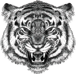 illustration hand drawn of leopard head pointilis doodle mascot