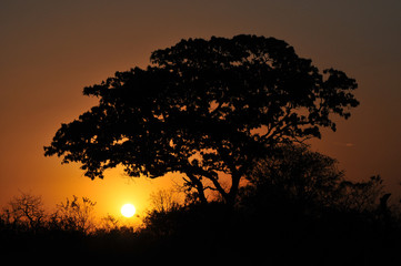 Itumbiara Cerrado Goias Por do Sol