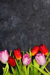 Tulip flower on dark background, copy space. A beautiful spring bouquet of flowers