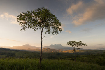 First Light at The Rolling Hills