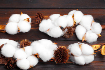 Branch with cotton flowers on wooden background