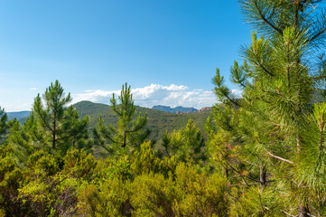 View vom Pic du Cap Roux near Antheor