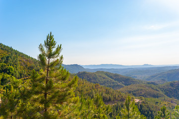 View vom Pic du Cap Roux near Antheor