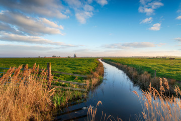 Looking out to Halvergate Mill on Berney Marshes