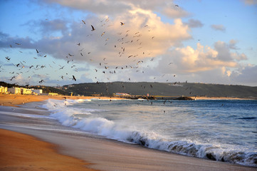 Nazare sand beach on sunset, Portugal