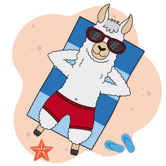 Llama sunbathing on the beach © sonia