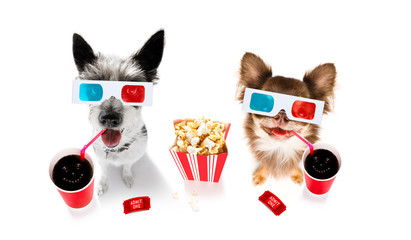 couple of dogs to the movies