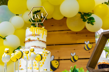 Bee, honey, honeycomb themed in wood tones baby shower party, newborn baby party, birthday party concept design, decorations