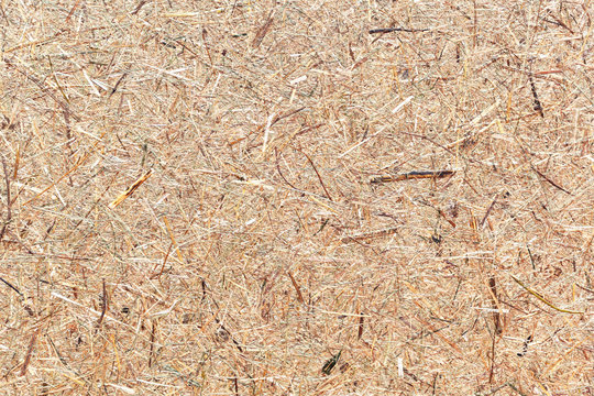 Close up of a pressed hay texture background