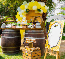 Bee, honey, honeycomb themed in wood tones baby shower party, newborn baby party, birthday party concept design, decorations