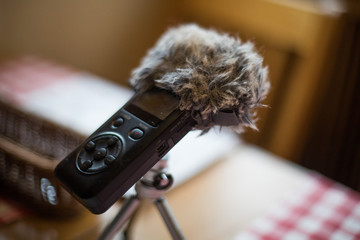 Portable audio recorder