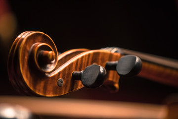 Double bass scroll and tuning pegs - obrazy, fototapety, plakaty