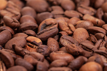 photography with brown coffee beans