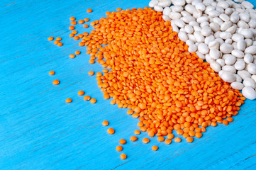 White beans and red lentils on a blue wooden background.