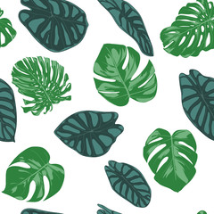 Seamless Hand Drawn Botanical Exotic Pattern with Philodendron and Alocasia Leaves. Vector Jungle Foliage in Watercolor Style. Seamless Tropic Leaf Background for Textile, Cloth, Fabric, Paper.