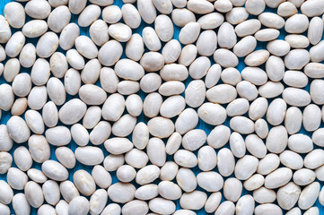 White beans. Background with lots of white bean beans.