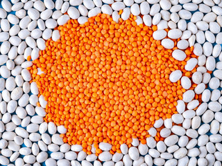 Red lentils in the form of a circle on a white fosoli.