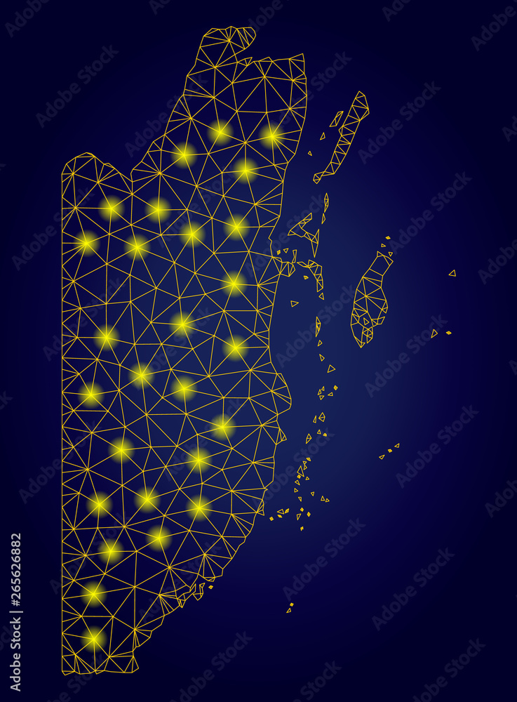 Poster yellow mesh vector belize map with flare effect on a dark blue gradiented background. abstract lines