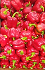 Fruits of sweet pepper - red, orange, yellow or brown, various shapes and sizes