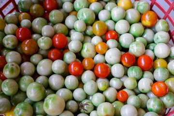 colorful beans and candy