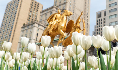 William Tecumseh Sherman monument with tulips in bloom at Grand Army Plaza in the Spring. 