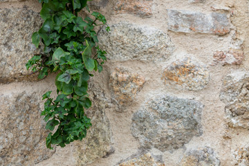 Old stone wall