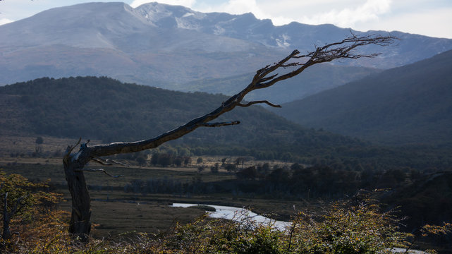 Panorama en el fin del mundo