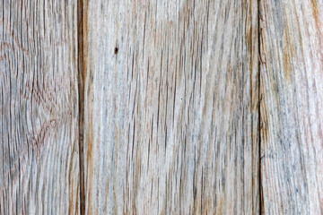Fototapeta premium Old wood grey worn