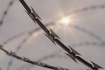 Fence with a barbed wire