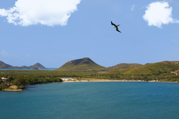 Fototapeta premium Coast Line and Entrance to Port of Antigua with a Frigate Bird. View from a cruise ship.