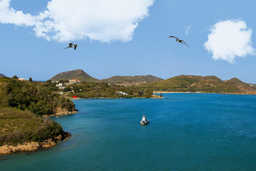 Coast Line and Entrance to Port of Antigua with Frigate Birds and a boat. View from a cruise ship.