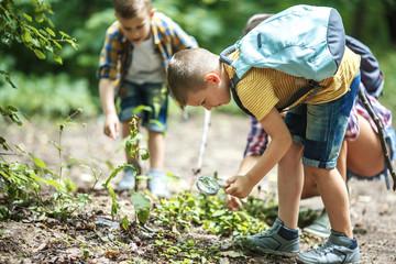 Mother and her little sons hiking trough forest .Boy using magnifying glass and looking at insects.