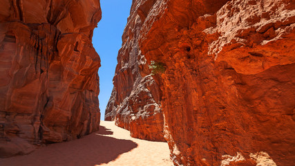 Deserto del Wadi Rum, Giordania