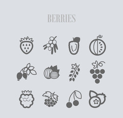 Fresh Berries icons set