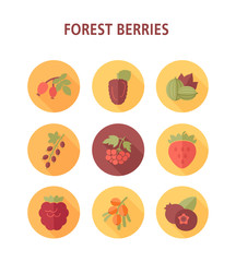 Forest berries icons set