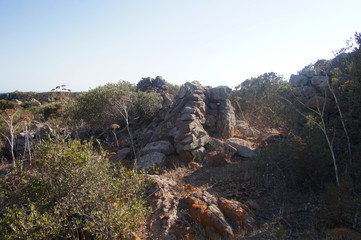 Summer steppe mountain landscape with dry yellow green bushes trees and grass under the scorching sun and blues sky.