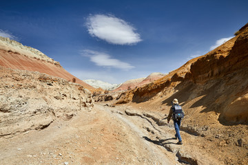 Obraz premium Photographer in the desert