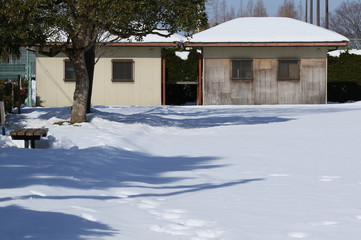 積雪した公園