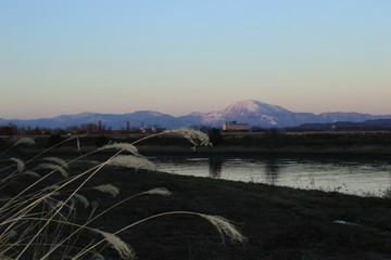 滋賀県の名峰、伊吹山の雪化粧と枯れススキと冬の彦根市の風景です