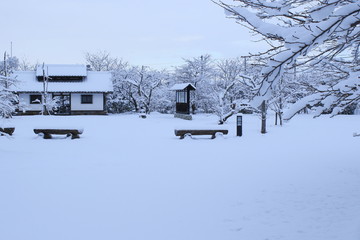 Fototapeta na wymiar 積雪した公園の様子です