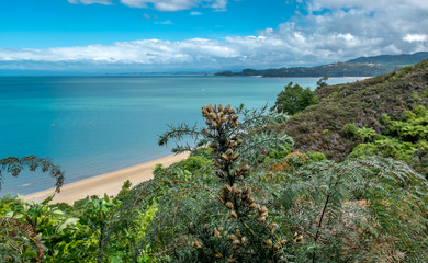 View to the ocean coast. Tasman Bay, Nelson area, New Zealand
