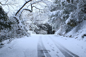 積雪した山道と轍や人の足跡です