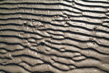 Regular shaped on the beach sand