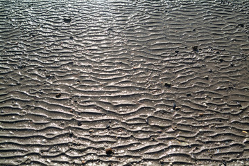 Regular shaped on the beach sand