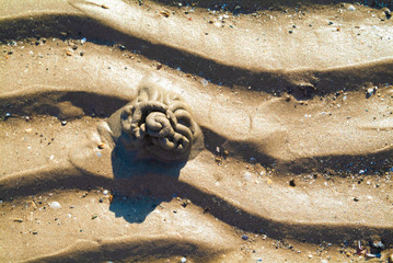 Geometric tangle on the beach sand