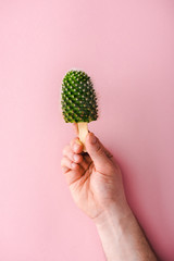 cropped view of man holding cactus plant on wooden stick on pink, ice cream concept
