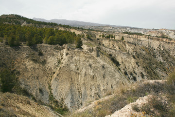 BADLANDS AND PINES