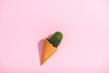 top view of cactus in ice cream cone on pink with copy space