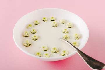 spoon and chrysanthemum flowers in bowl with porridge on pink