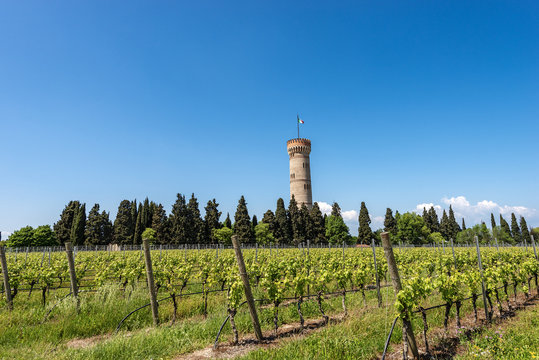 Monumental tower of San Martino della Battaglia - Italy